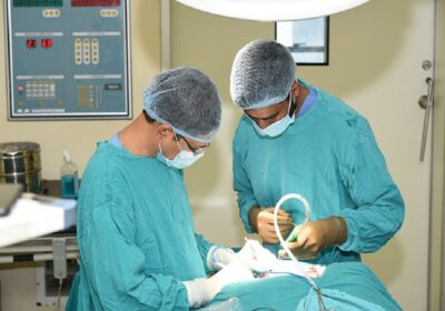 The Importance of Neurosurgeons in Healthcare