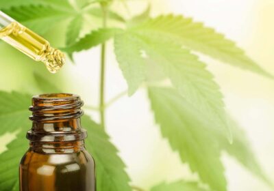 Exploring the Finest and Positive Brands of the Natural CBD Oils