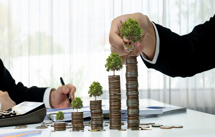 Wealth Management